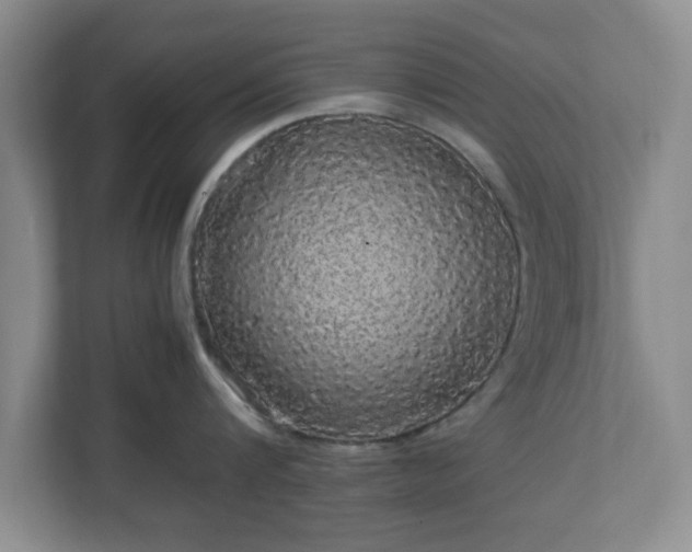 X0000113070816200909041056