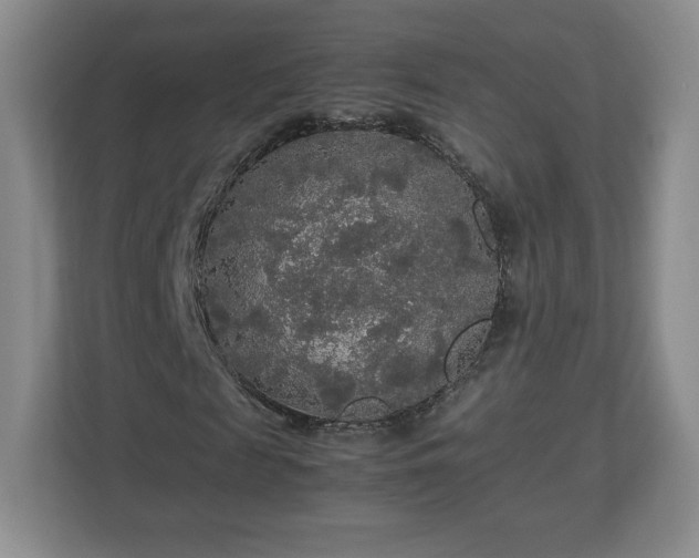 X0000113070817200909041056