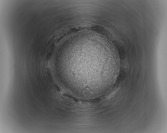 X0000113070818200909041056