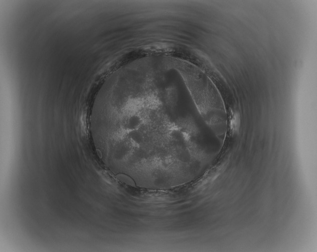 X0000113070819200909041056