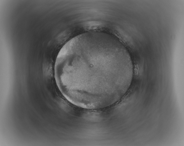 X0000113070820200909041056