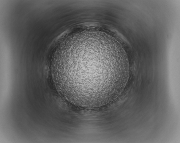 X0000113070821200909041056