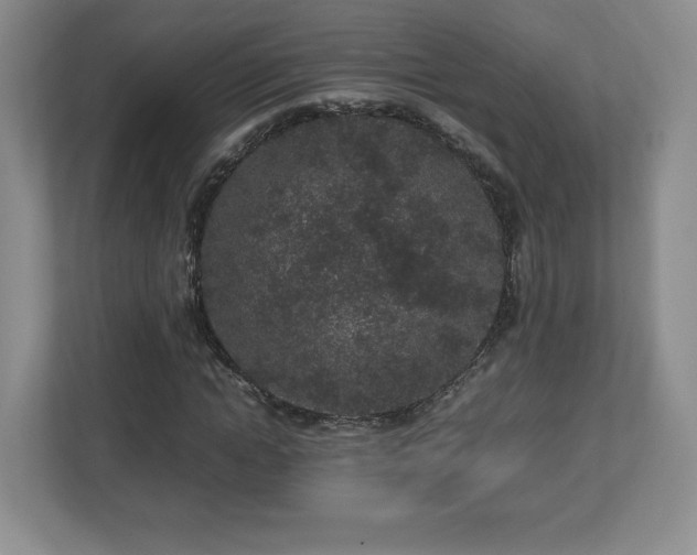 X0000113070822200909041056