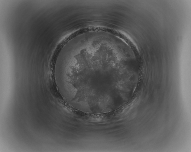 X0000113070823200909041056