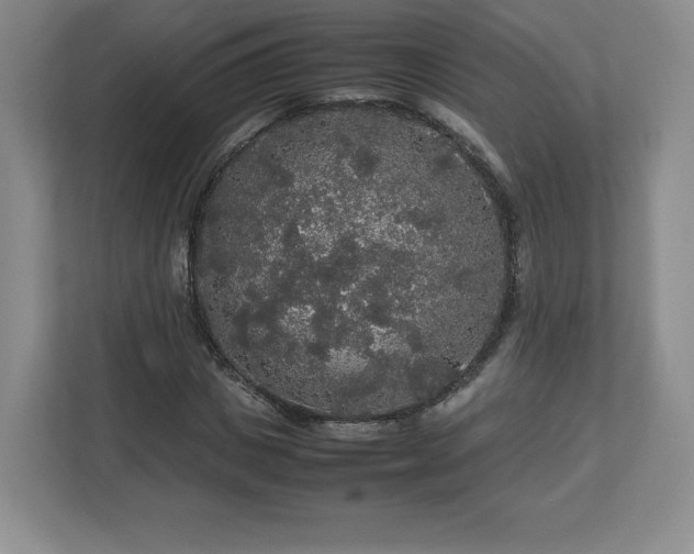 X0000113070825200909041056