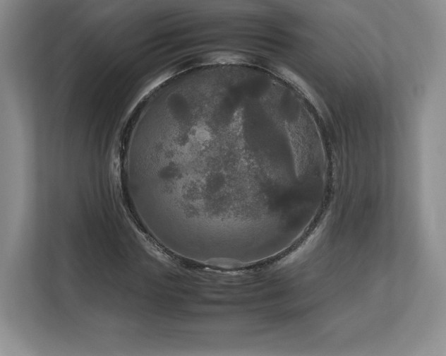 X0000113070827200909041056