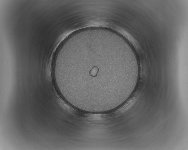 X0000113070828200909041056