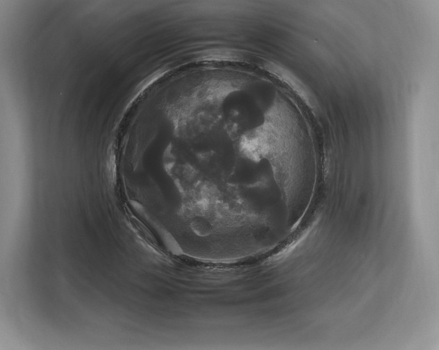 X0000113070829200909041056