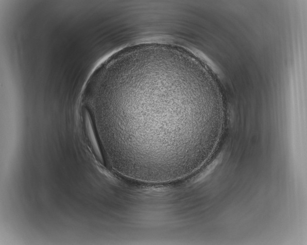 X0000113070830200909041056