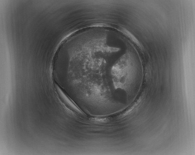 X0000113070831200909041056