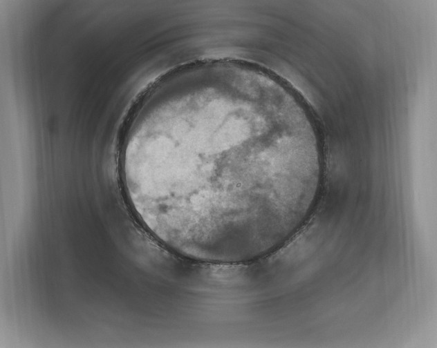 X0000113070832200909041056