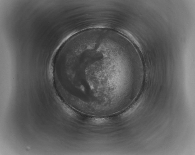 X0000113070835200909041056