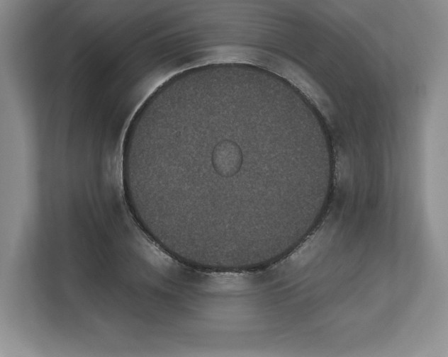 X0000113070836200909041056