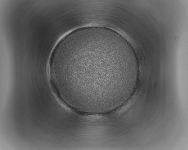 X0000113070838200909041056