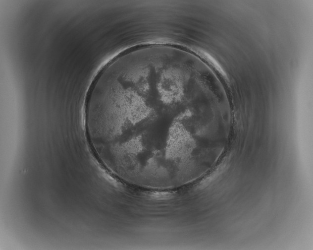 X0000113070839200909041056