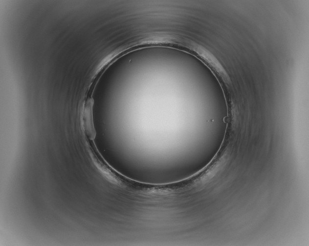 X0000113070842200909041056