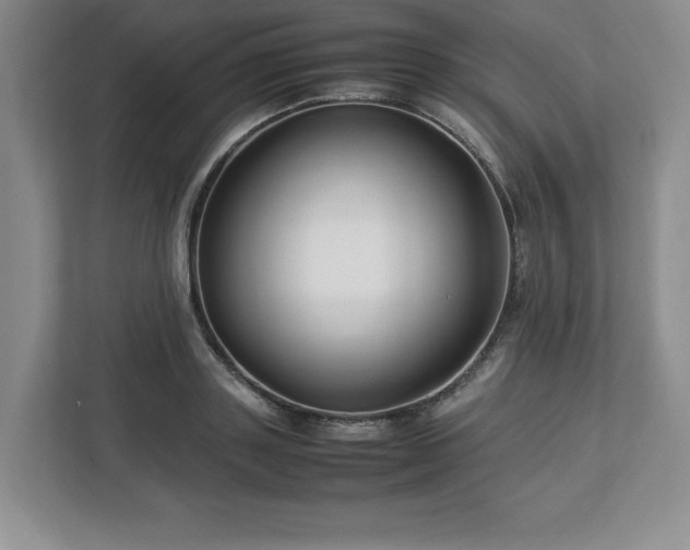 X0000113070843200909041056