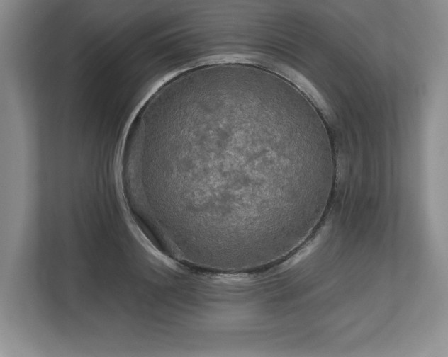 X0000113070844200909041056