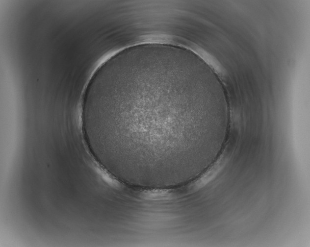 X0000113070846200909041056