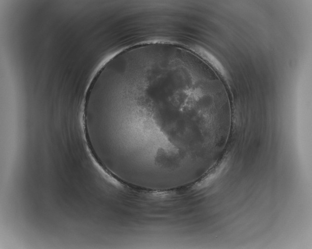 X0000113070847200909041056