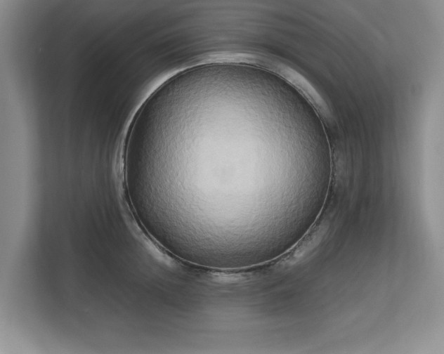 X0000113070852200909041056