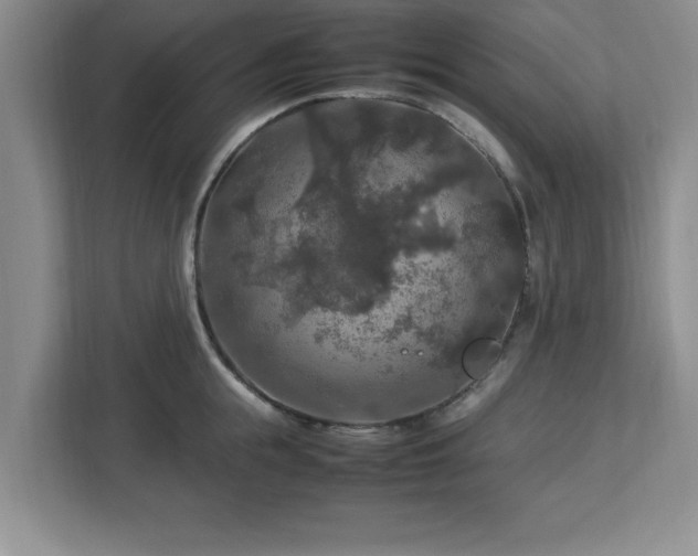 X0000113070855200909041056