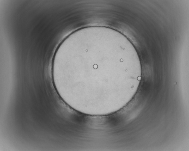 X0000113070856200909041056