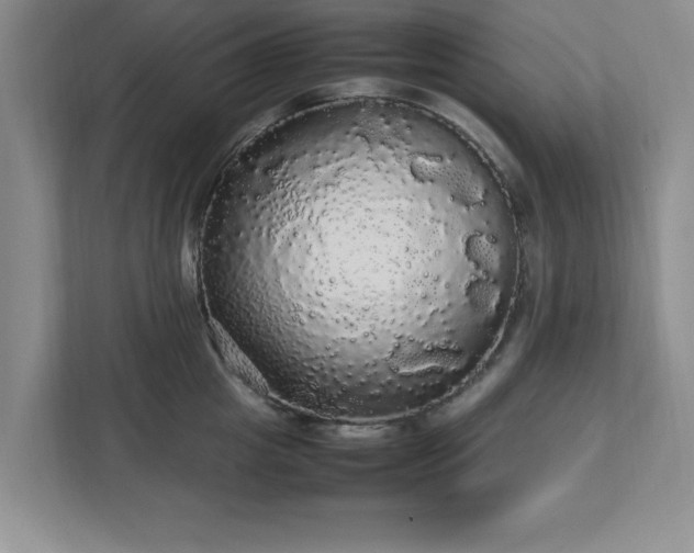 X0000113070857200909041056