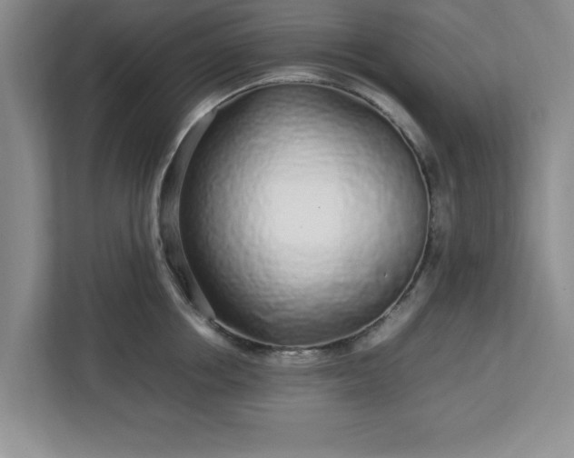 X0000113070858200909041056