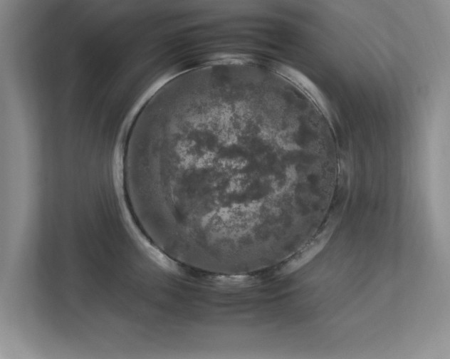 X0000113070859200909041056