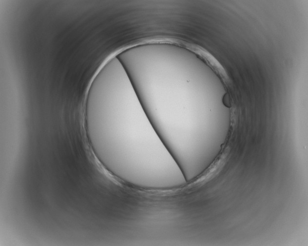 X0000113070860200909041056