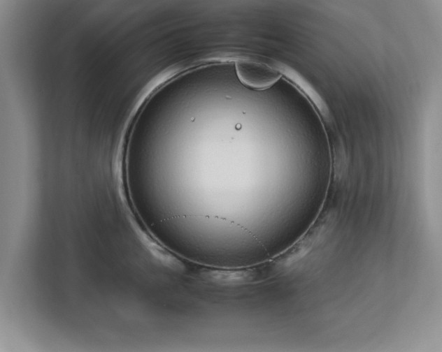 X0000113070861200909041056