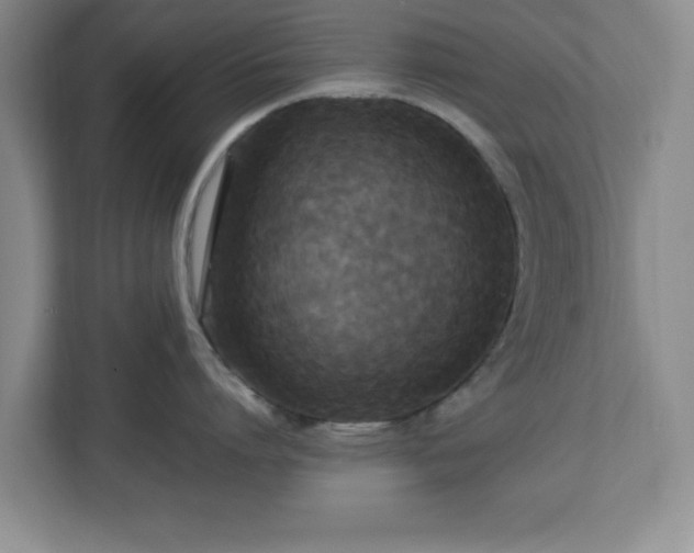 X0000113070864200909041056