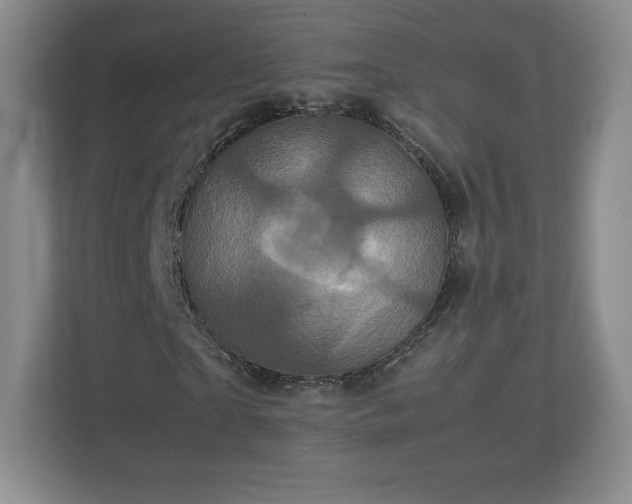 X0000113070865200909041056