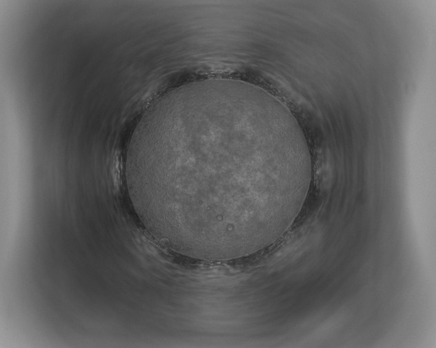 X0000113070866200909041056