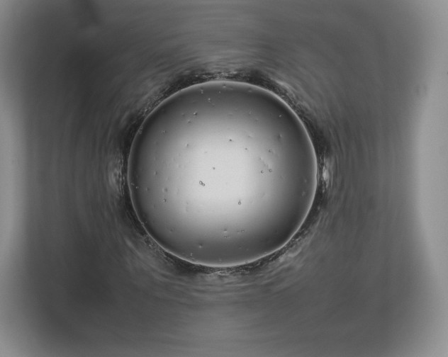 X0000113070867200909041056