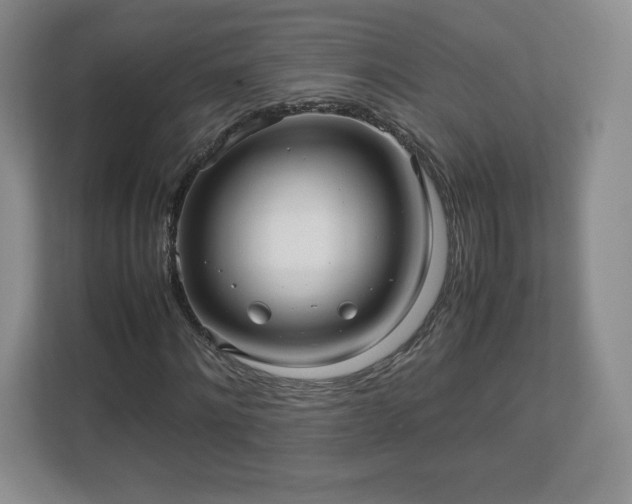 X0000113070868200909041056