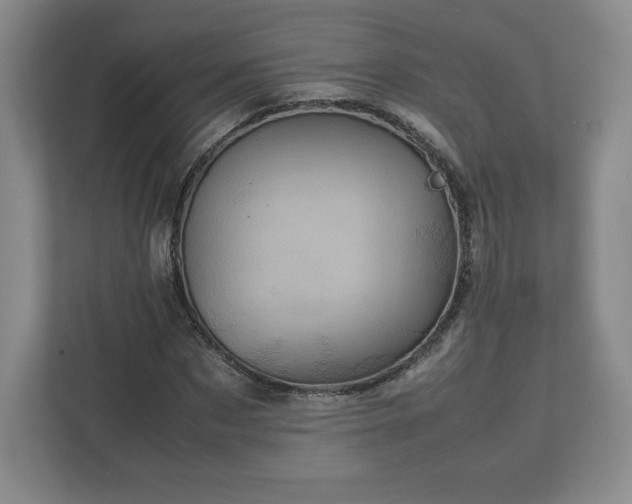 X0000113070873200909041056