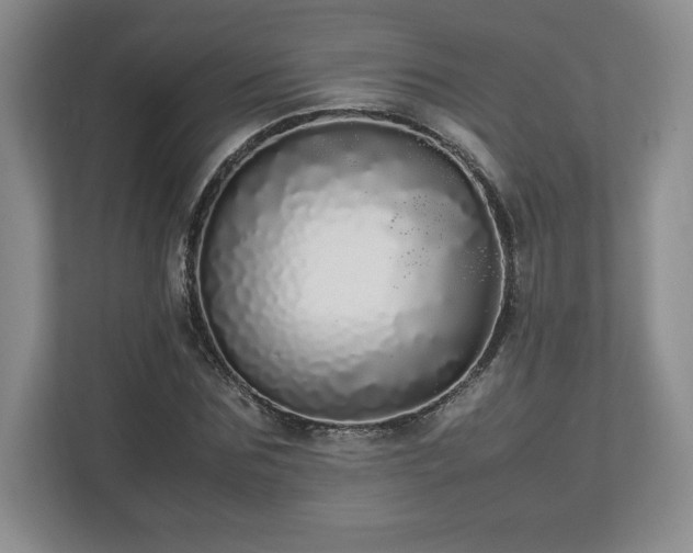 X0000113070875200909041056