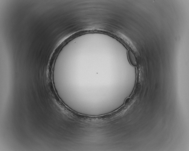 X0000113070876200909041056