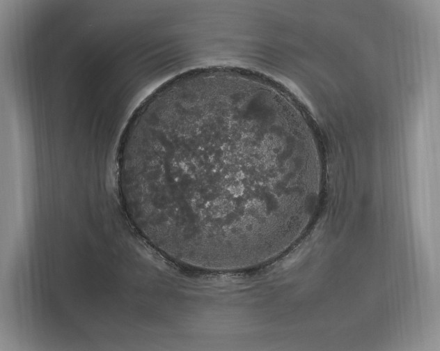 X0000113070879200909041056