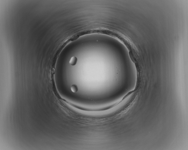 X0000113070881200909041056