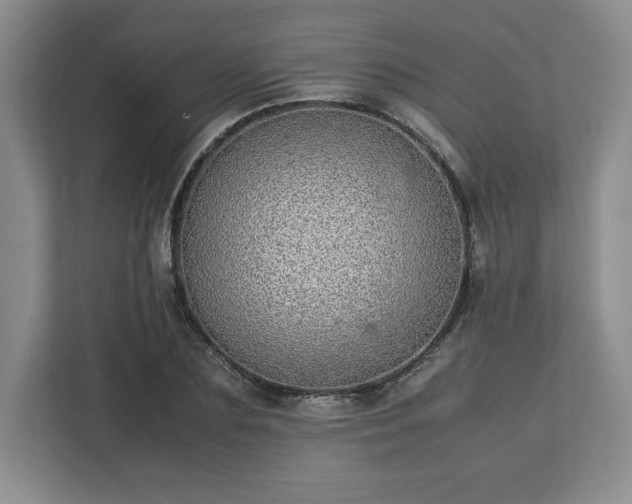 X0000113070883200909041055