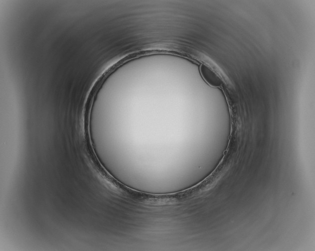 X0000113070884200909041055