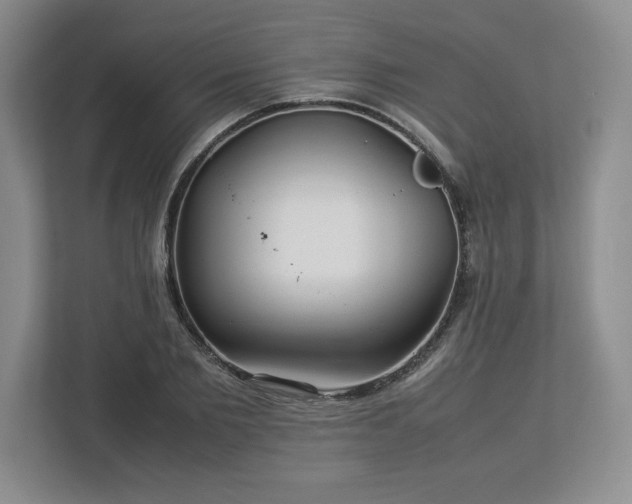 X0000113070885200909041055