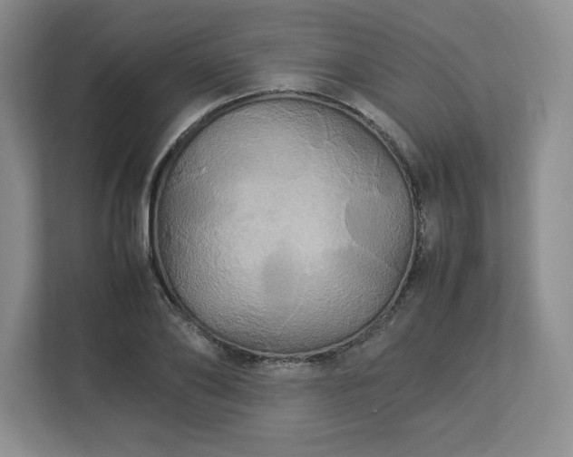 X0000113070886200909041055