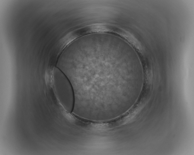 X0000113070889200909041055