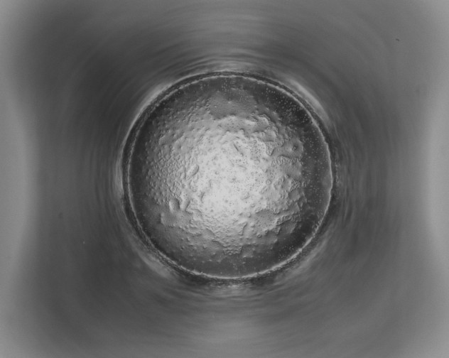 X0000113070891200909041055