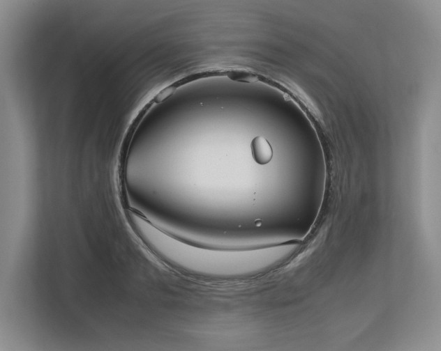 X0000113070893200909041055