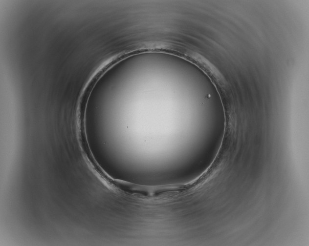 X0000113070894200909041055